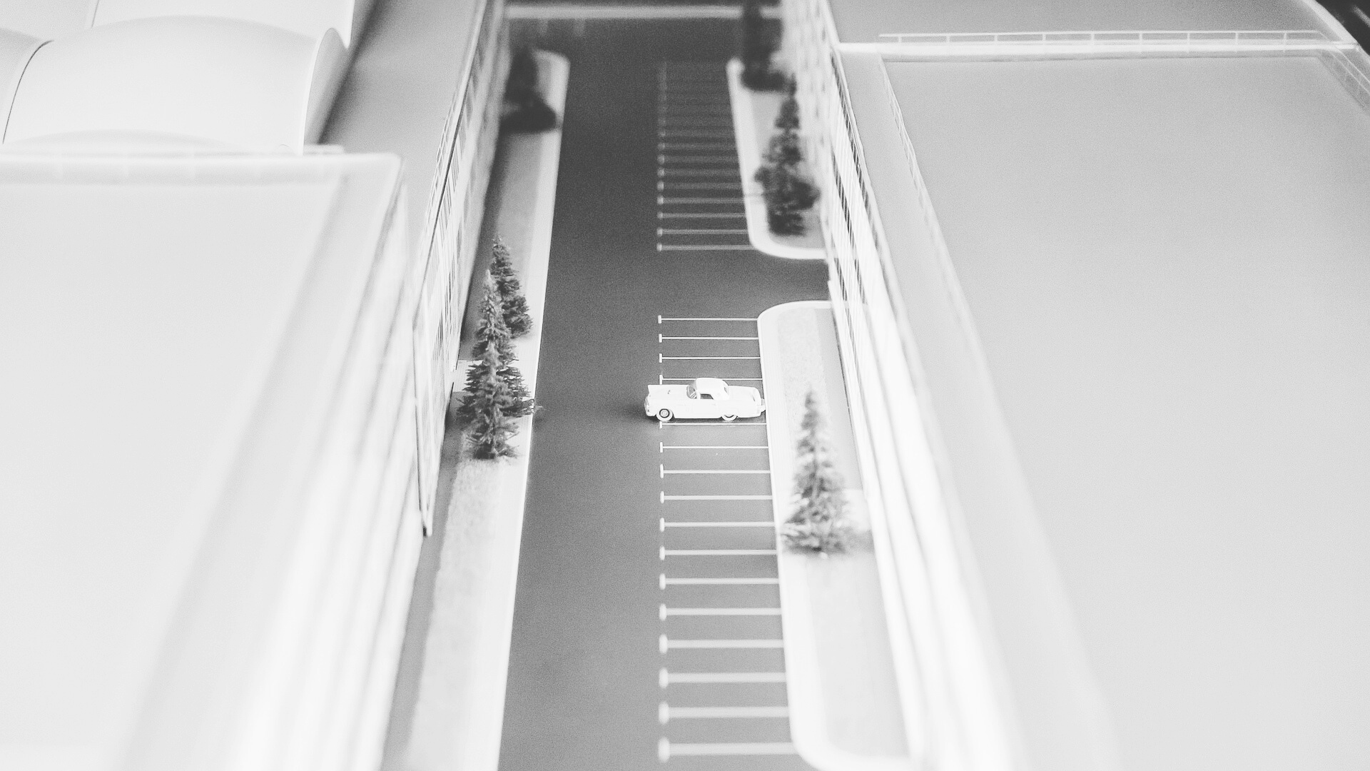 11.konference-no-text